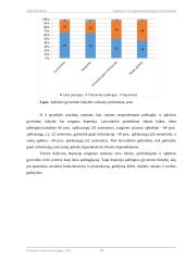 Depresija ir ja sergančių žmonių gyvenimo kokybė 13 puslapis