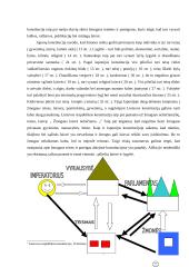 Lietuvos ir Japonijos konstitucijų lyginamoji analizė 7 puslapis
