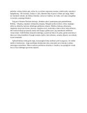 Jaunimo problemos J. Grušo dramoje „Meilė, džiazas ir velnias“  2 puslapis