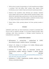 Išorinės komunikacijos vertinimas Babtų seniūnijoje 12 puslapis