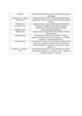 Dantės pomirtinio pasaulio ir Hado mirusiųjų karalystės palyginimas 2 puslapis