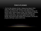 Šokis Čia Čia Čia 3 puslapis