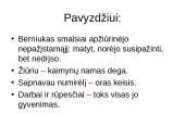 Sudėtiniai bejungtukiai sakiniai 10 puslapis