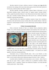 Laikrodžių atsiradimo istorija 12 puslapis