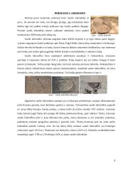 Laikrodžių atsiradimo istorija 5 puslapis