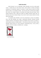 Laikrodžių atsiradimo istorija 7 puslapis