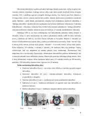 Laikrodžių atsiradimo istorija 9 puslapis