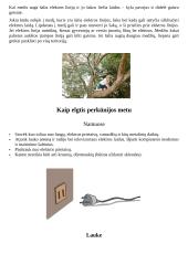 Saugi elektra. Pirmoji pagalba nukentėjus nuo elektros srovės 6 puslapis