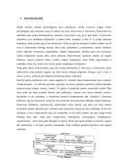 Savianalizė – tai priemonė atrasti save 2 puslapis