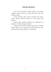 Slaugos situacijos analizė 2 puslapis