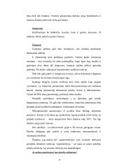 Slaugos situacijos analizė 11 puslapis