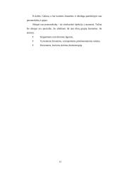 Slaugos situacijos analizė 12 puslapis