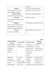 Slaugos situacijos analizė 4 puslapis
