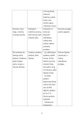 Slaugos situacijos analizė 6 puslapis