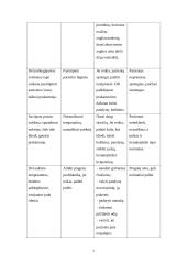 Slaugos situacijos analizė 7 puslapis