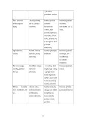 Slaugos situacijos analizė 8 puslapis