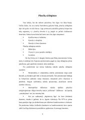 Slaugos situacijos analizė 9 puslapis