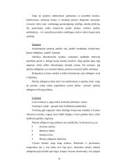 Slaugos situacijos analizė 10 puslapis