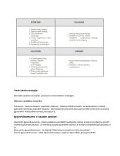 Programų sistemų inžinerija - teorija 7 puslapis