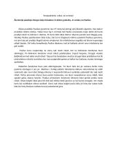 Nesijaudinkite, vaikai, tai ne bėda 