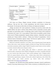 UAB Artom įmonių grupės pardavimų skatinimo priemonių (akcijų) taikymas 20 puslapis