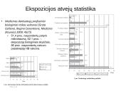 Per kraują ir kitus kūno skysčius plintančių infekcijų rizika asmens sveikatos priežiūros įstaigose  11 puslapis