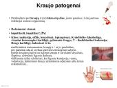 Per kraują ir kitus kūno skysčius plintančių infekcijų rizika asmens sveikatos priežiūros įstaigose  3 puslapis