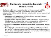 Per kraują ir kitus kūno skysčius plintančių infekcijų rizika asmens sveikatos priežiūros įstaigose  4 puslapis
