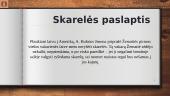 Žemaitės biografija ir pagrindiniai kūriniai 16 puslapis