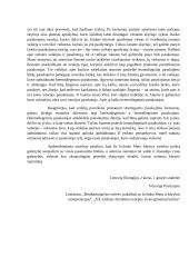 Icchokas Meras „Lygiosios trunka akimirką“ 2 puslapis