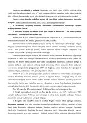 Archyvai Naujausiais laikais 2 puslapis