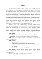 LR muitinės procedūros 2 puslapis