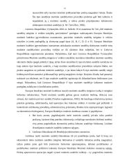 LR muitinės procedūros 11 puslapis