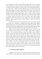 LR muitinės procedūros 12 puslapis