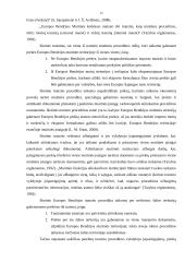 LR muitinės procedūros 13 puslapis