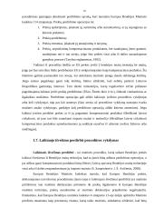 LR muitinės procedūros 16 puslapis