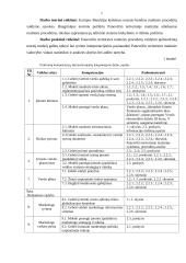 LR muitinės procedūros 3 puslapis