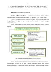 LR muitinės procedūros 4 puslapis