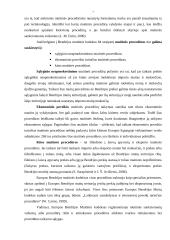 LR muitinės procedūros 5 puslapis