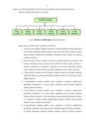 LR muitinės procedūros 10 puslapis
