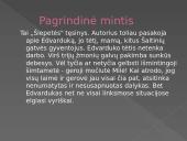 Vytautas Račickas "﻿Kita šlepetės istorija" 3 puslapis