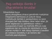 Vytautas Račickas "﻿Kita šlepetės istorija" 5 puslapis