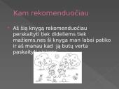 Vytautas Račickas "﻿Kita šlepetės istorija" 8 puslapis