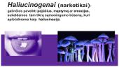 Haliucinogenai (narkotikai)