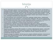 Kas yra donorystė? 3 puslapis