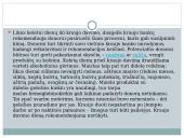 Kas yra donorystė? 4 puslapis