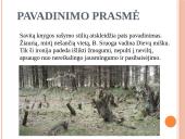 Balys Sruoga - Dievų Miškas 15 puslapis