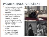 Balys Sruoga - Dievų Miškas 19 puslapis