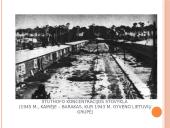 Balys Sruoga - Dievų Miškas 7 puslapis