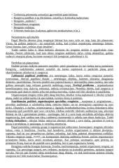 Renginių rinkodaros teorija 5 puslapis